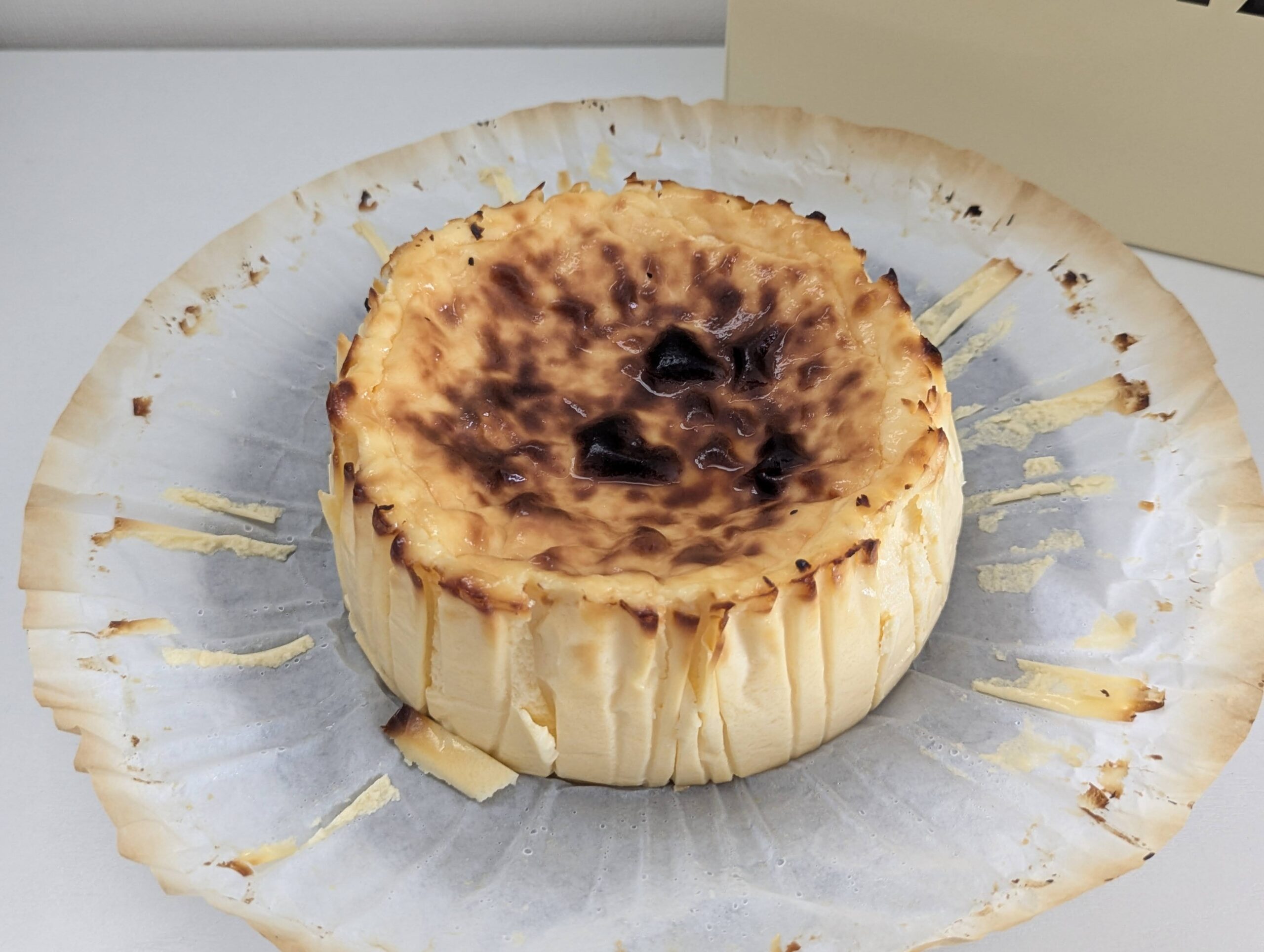 GAZTA（ガスタ）バスクチーズケーキ (10)