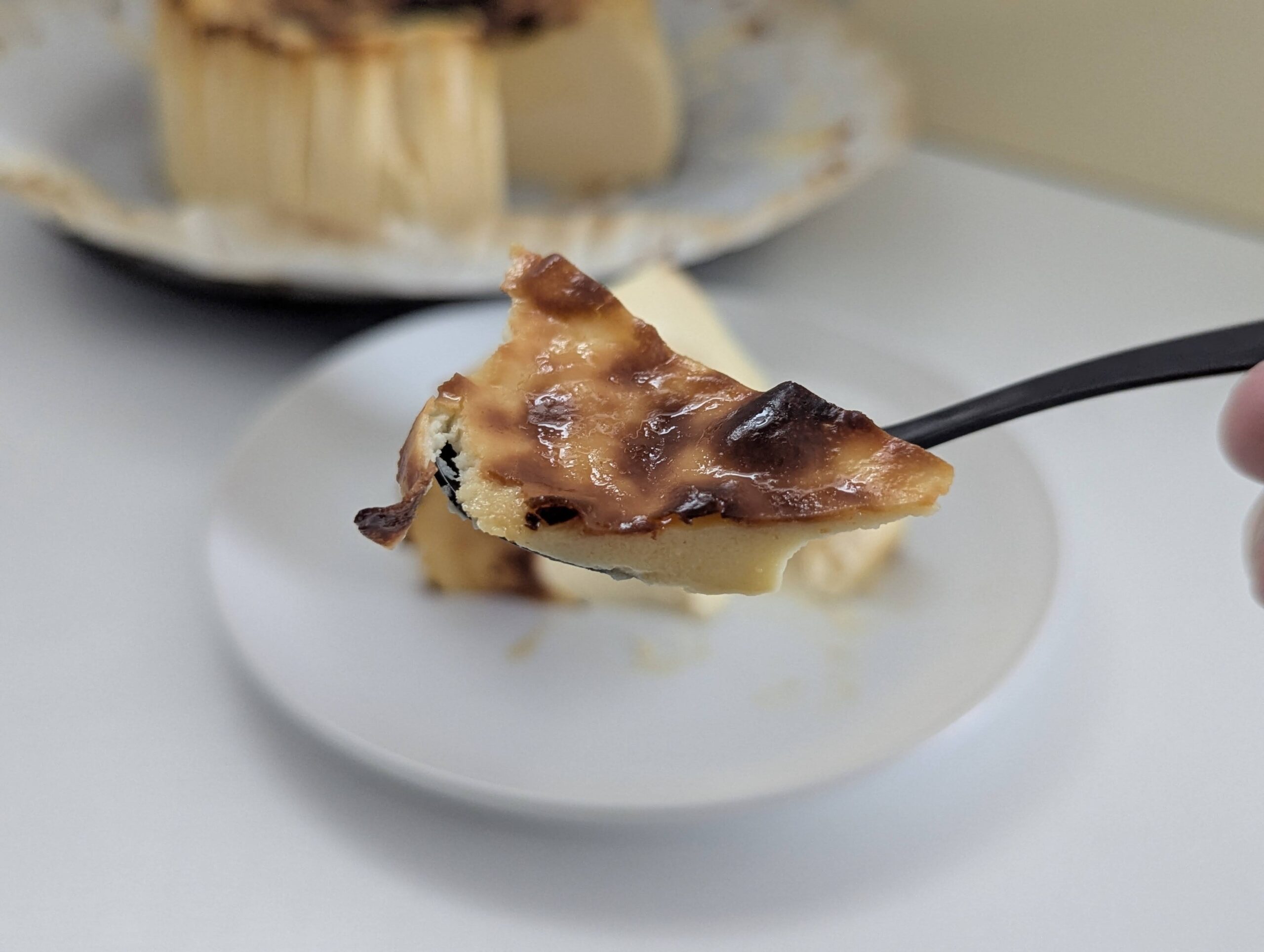 GAZTA（ガスタ）バスクチーズケーキ (15)